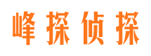 唐河找人公司